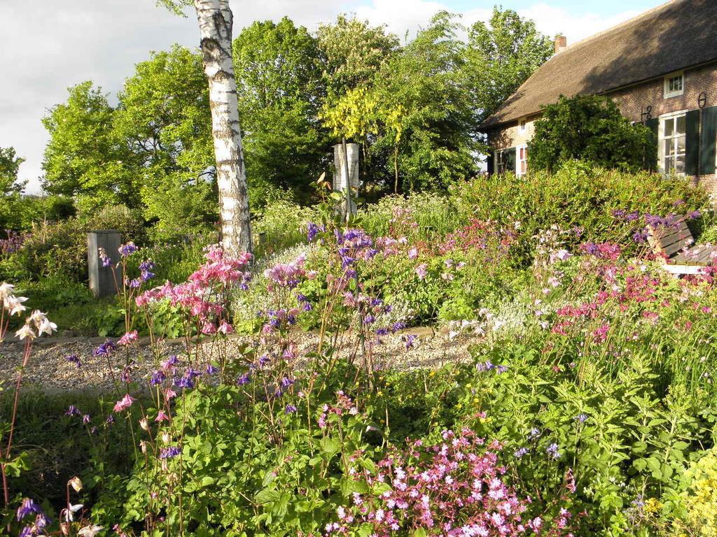 Bed & Breakfast Hofstede Het Klaphek Randwijk Pokój zdjęcie